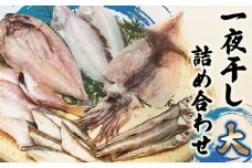 【鶴岡市 庄内浜】　一夜干しセット（大）　約2kg　庄内観光物産館