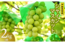【令和7年産先行予約】鶴岡市産 シャインマスカット　2kg（3房）　伊藤果樹園