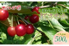 【令和8年産先行予約】こだわりのさくらんぼ「紅さやか」(Lサイズ以上)　バラ詰め 500g　いまいのさくらんぼ園　K-831