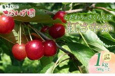【令和8年産先行予約】こだわりのさくらんぼ「紅さやか」（Lサイズ以上）バラ詰め 1kg （500g×2）いまいのさくらんぼ園　K-858