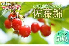 【令和8年産先行予約】こだわりのさくらんぼ「佐藤錦」（Lサイズ以上）バラ詰め 500g いまいのさくらんぼ園 K-835