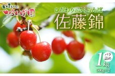 【令和8年産先行予約】　こだわりのさくらんぼ「佐藤錦」（Lサイズ以上）　バラ詰め　1kg　(500g×2)　いまいのさくらんぼ園 K-866