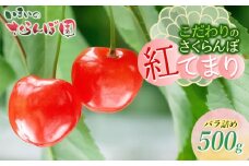 【令和8年産先行予約】こだわりのさくらんぼ「紅てまり」（2Lサイズ以上）バラ詰め 500g いまいのさくらんぼ園 K-835