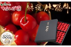 【令和8年産先行予約】【贈答用】 さくらんぼ「佐藤錦」（2Lサイズ）88粒 いまいのさくらんぼ園　K-8114