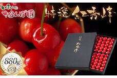 【令和8年産先行予約】【贈答用】さくらんぼ「紅秀峰」 88粒　(2Lサイズ) いまいのさくらんぼ園 K-8114