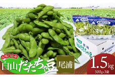 【令和7年産先行予約】本場白山産 白山だだちゃ豆【尾浦(おうら)】 1.5kg（500g×3袋）　農家 長四郎