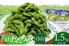 【令和7年産先行予約】本場白山産 白山だだちゃ豆【白山(しらやま)】 1.5kg（500g×3袋）　農家 長四郎