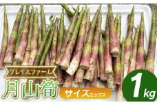 【令和8年産先行予約】月山筍 ミックスサイズ 1kg　山形県鶴岡産　グレイスファーム