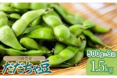【令和7年産先行予約】 だだちゃ豆 約1.5kg (500g×3袋) 三浦農産