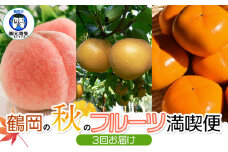 【令和7年産 先行予約】鶴岡の秋のフルーツ満喫便【3回お届け】白桃・和梨・庄内柿　山形県鶴岡産　元青果