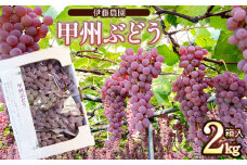 【令和7年産】 甲州ぶどう 2kg箱入（4～6房） 山形県鶴岡産　伊藤農園