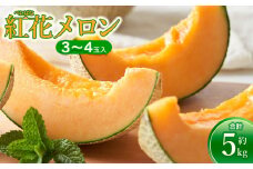 【令和7年産先行予約】 紅花メロン 5kg（3～4玉入）山形県鶴岡市産 庄内砂丘メロン　小林ファーム