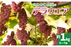 【令和7年産先行予約】 デラウェア 1kg（5～7房）山形県鶴岡市産　さわかわ農園