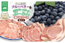 【令和7年産先行予約】月山高原ブルーベリーと庄内グリーンポーク“ぶーみん”選べるロースセット（ローススライス400g+しゃぶしゃぶ400gセット）　肉バルYAKU禄
