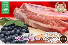 【令和7年産先行予約】月山高原ブルーベリーと庄内グリーンポーク“ぶーみん”スペアリブセット　肉バルYAKU禄