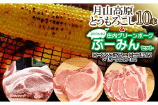 【令和7年産先行予約】月山高原とうもろこし10本と庄内グリーンポーク“ぶーみん”（豚ロース スライス 500g）セット　肉バルYAKU禄