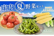 【令和7年産先行予約】庄内夏野菜セット　肉バルYAKU禄