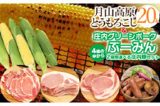 【令和7年産先行予約】月山高原とうもろこし20本と庄内グリーンポーク“ぶーみん”セット (ロース スライス 500g+粗びきウィンナー 520g)　肉バルYAKU禄