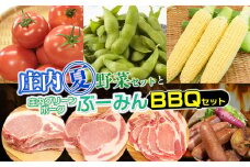 【令和7年産先行予約】庄内夏野菜と庄内グリーンポーク“ぶーみん”BBQセット (ロース厚切り 3枚 500g + 粗びきウィンナー 260g(10本入)×2パック)　肉バルYAKU禄
