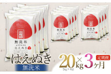 【定期便】【令和6年産】 はえぬき 無洗米 20kg(5kg×4袋) ×3回(計60kg) 山形県庄内産　有限会社 阿部ベイコク