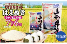 【令和7年産先行予約】 特別栽培米はえぬき 無洗米 7kg (5kg+2kg)×6ヶ月【定期便】　鶴岡協同ファーム