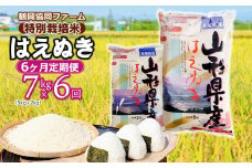 【令和7年産先行予約】 特別栽培米はえぬき 7kg (5kg+2kg)×6ヶ月【定期便】　鶴岡協同ファーム