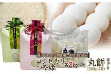 【令和6年産】 黒川まるいし農場の特別栽培米コシヒカリ・つや姫 各2kg と 丸餅 1kg セット 山形県鶴岡市産　K-639