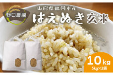 【令和6年産】 はえぬき 玄米 10kg（5kg×2袋）山形県鶴岡市産　野口農園