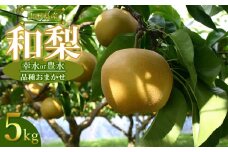 【令和7年産先行予約】山形県産 和梨 品種おまかせ (幸水または豊水) 約5kg　産直あぐり　K-735