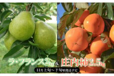 【令和7年産先行予約】山形県産 ラ・フランス＆庄内柿のセット　産直あぐり K-747
