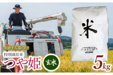 数量限定 【令和7年産先行予約】 山形県庄内産 小池半左衛門のお米 特別栽培米 つや姫 玄米 5kg (5kg×1袋)　