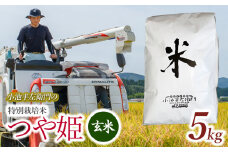 数量限定 【令和7年産先行予約】 山形県庄内産 小池半左衛門のお米 特別栽培米 つや姫 玄米 5kg (5kg×1袋)　