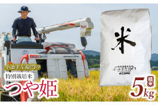 数量限定 【令和7年産先行予約】 山形県庄内産 小池半左衛門のお米 特別栽培米 つや姫 精米 5kg (5kg×1袋)