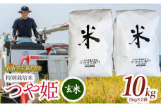 数量限定 【令和7年産先行予約】 山形県庄内産 小池半左衛門のお米 特別栽培米 つや姫 玄米 10kg (5kg×2袋)