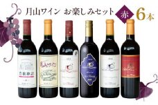 月山ワイン　赤ワイン６本　お楽しみセット　E16-201