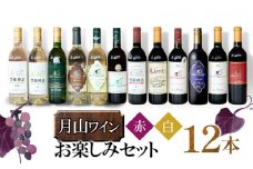 月山ワイン　赤・白ワイン12本　お楽しみセット　H96-201