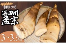 【令和7年産先行予約】庄内の春の味覚　やわらかい朝堀り湯田川孟宗（たけのこ）約3～3.5kg　にこにこふぁーむ　K-660