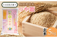 【令和6年産】特別栽培米 つや姫 【玄米】 5kg　山形県鶴岡市産　出羽弥兵衛