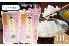 【令和6年産】特別栽培米つや姫白米 5kg×2袋 計10kg　山形県鶴岡市産　出羽弥兵衛