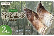【令和7年産 先行予約】自然栽培 谷定孟宗（タケノコ）2kg　マルタ農園　筍 竹の子
