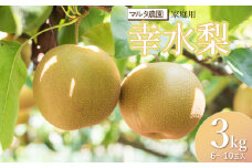 【令和7年産 先行予約】家庭用　幸水梨 3kg(6～10玉)　マルタ農園