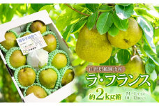 【令和7年産 先行予約】ラ・フランス 2kg箱入り　M～Lサイズ（10～12玉入り）　伊藤農園