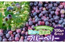 【令和7年産 先行予約】にこにこふぁーむの朝採り生詰めブルーベリー 100g×6パック　K-739