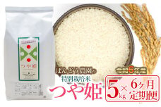【令和6年産 先行予約】【定期便6ヶ月】ばんどう農園の特別栽培米 つや姫5kg×6ヶ月　K-630