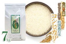 【令和6年産 先行予約】ばんどう農園の特別栽培米 コシヒカリ7kg　K-630