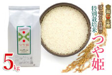 【令和6年産 先行予約】ばんどう農園の特別栽培米つや姫 5kg　K-630