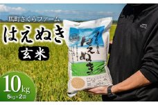 【令和7年産先行予約】 馬町さくらファームのはえぬき 玄米 10kg（5kg×2袋）　K-761