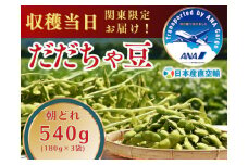 【令和7年産先行予約】朝採れだだちゃ豆 540g (180g×3袋) 【8月下旬お届け】 「産直空輸」で限界鮮度を当日お届け！　山形県鶴岡市特産