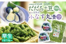 令和7年産　朝採りだだちゃ豆（早生）700gと小なす丸漬240g（120g×2）セット