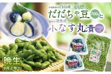 令和7年産　朝採りだだちゃ豆（晩生）700gと小なす丸漬240g（120g×2）セット